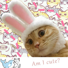 Easter Bunny Hat for Dogs and Cats, product photo 6 of 7