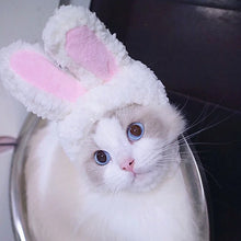 Easter Bunny Hat for Dogs and Cats, product photo 7 of 7