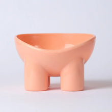 Elevated Dog Water Bowl in (B) Carmine Powder
