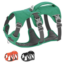 Escape Proof Nylon Dog Harness, product photo 4 of 9