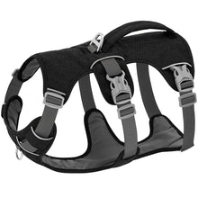 Escape Proof Nylon Dog Harness in Black
