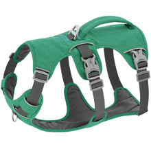 Escape Proof Nylon Dog Harness in Green