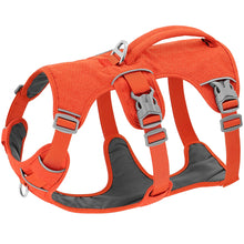 Escape Proof Nylon Dog Harness in Orange