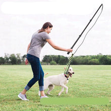 Extendable Flirt Pole Dog Toy, product photo 5 of 5