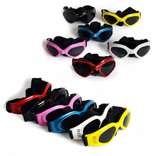 Fashionable Sunglasses for Pets, product photo 4 of 12