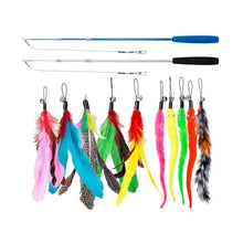 Feather Teaser Cat Wand Toy Set, product photo 6 of 7