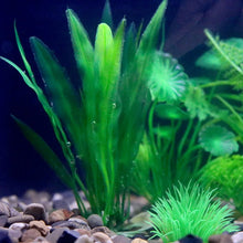 Fish Tank Grass Ornament, product photo 28 of 40
