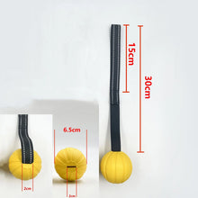 Flirt Pole with Leather Bite Rag for Dogs in 1 Piece with 6.5cm Ball