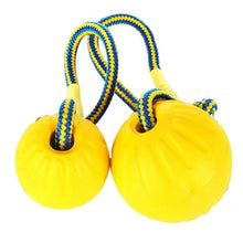 Flirt Pole with Leather Bite Rag for Dogs in 1 Piece with 9cm Ball