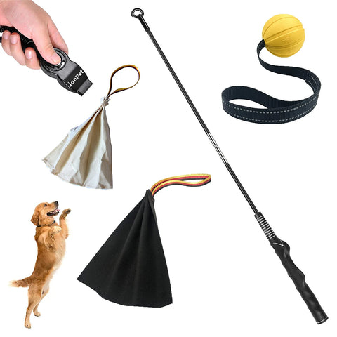 Flirt Pole with Leather Bite Rag for Dogs