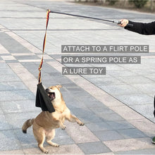 Alternate view of the Flirt Pole with Leather Bite Rag for Dogs