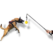 Flirt Pole with Leather Bite Rag for Dogs, product photo 5 of 14