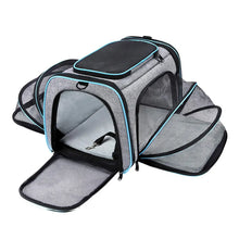 Foldable Pet Carrier in Blue