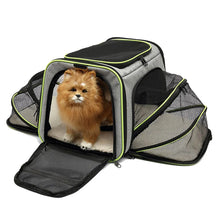 Foldable Pet Carrier in Green