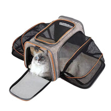 Foldable Pet Carrier in Orange