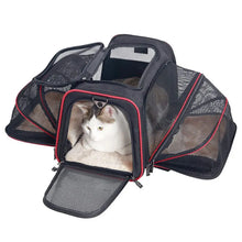 Foldable Pet Carrier in Red