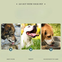 Foldable Silicone Pet Travel Bowl, product photo 9 of 9