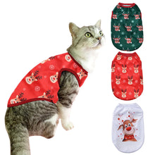 Fun Cat Costumes for Christmas Holidays, product photo 6 of 8