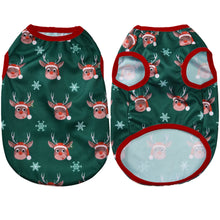 Fun Cat Costumes for Christmas Holidays in Green
