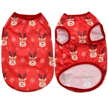 Fun Cat Costumes for Christmas Holidays in Red