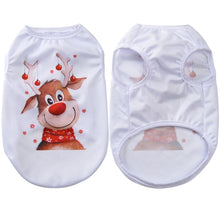 Fun Cat Costumes for Christmas Holidays in White