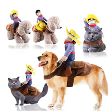 Cowboy dog costume shown on different dog breeds