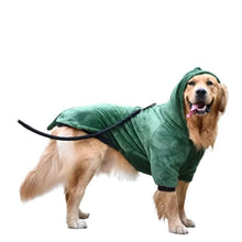 Funny Dinosaur Winter Clothes for Large Dogs in Green Dinosaur