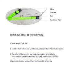 GlowGuard LED Nylon Dog Leash, product photo 11 of 12