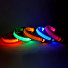 GlowGuard LED Nylon Dog Leash, product photo 12 of 12