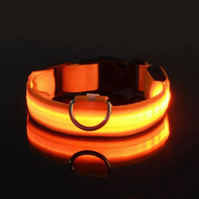 Alternate view of the GlowGuard LED Nylon Dog Leash