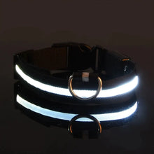 GlowGuard LED Nylon Dog Leash, product photo 7 of 12