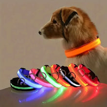 GlowGuard LED Nylon Dog Leash, product photo 9 of 12