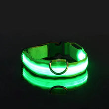 GlowGuard LED Nylon Dog Leash in Green