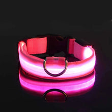 GlowGuard LED Nylon Dog Leash in Pink