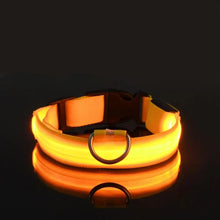 GlowGuard LED Nylon Dog Leash in Yellow