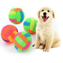 dog with glowing bouncy ball toys