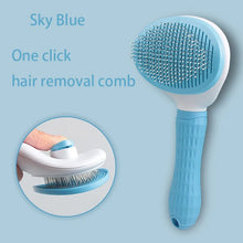 Hair Brush Grooming Tools for Pets in Blue