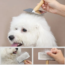 Alternate view of the Hair Remover Brush for Pets