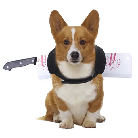 Dog wearing funny Halloween costume with fake prop