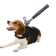 Side view of dog wearing Halloween costume with fake prop