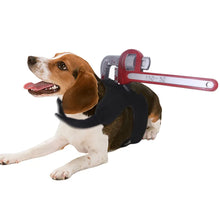 Dog wearing Halloween costume with red novelty prop