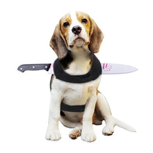 Dog wearing novelty Halloween prop costume