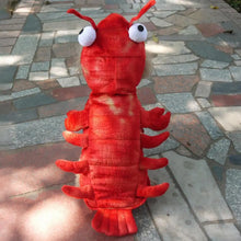 Pet wearing red lobster costume outdoors