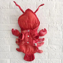 Rear view of lobster Halloween pet costume