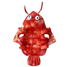 Front view of funny lobster pet costume