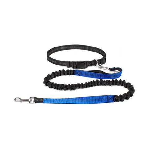 Blue hands free bungee dog lead with waist belt