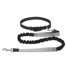 Alternate view of the Hands Free Bungee Dog Leash