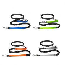 Hands Free Bungee Dog Leash, product photo 5 of 8