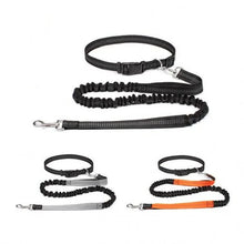 Hands Free Bungee Dog Leash, product photo 6 of 8