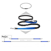 Hands Free Bungee Dog Leash, product photo 7 of 8